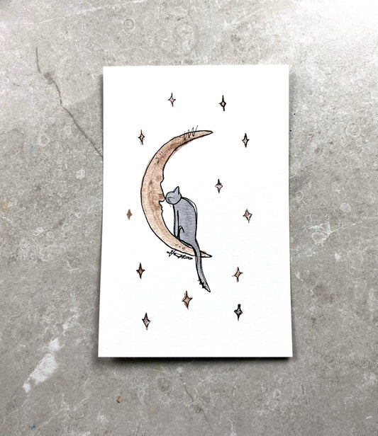"Moonlight Connection"