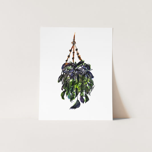 "The Wanderer" Limited Edition Print